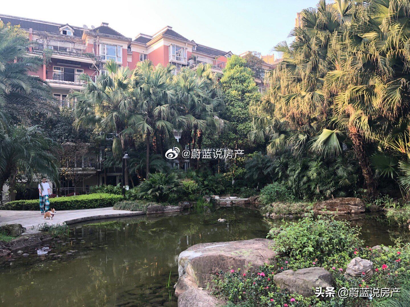 融侨半岛复式房子价格表,融侨半岛商品房