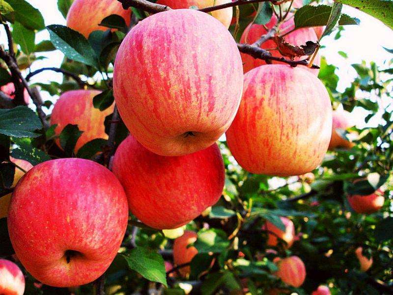 深圳取消豪宅税！无锡楼市何去何从？