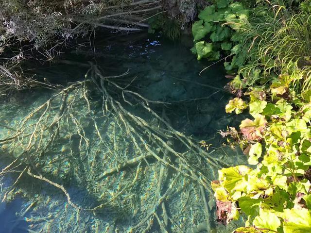 巴尔干半岛和阿尔巴尼亚,伯罗奔尼撒半岛和巴尔干半岛