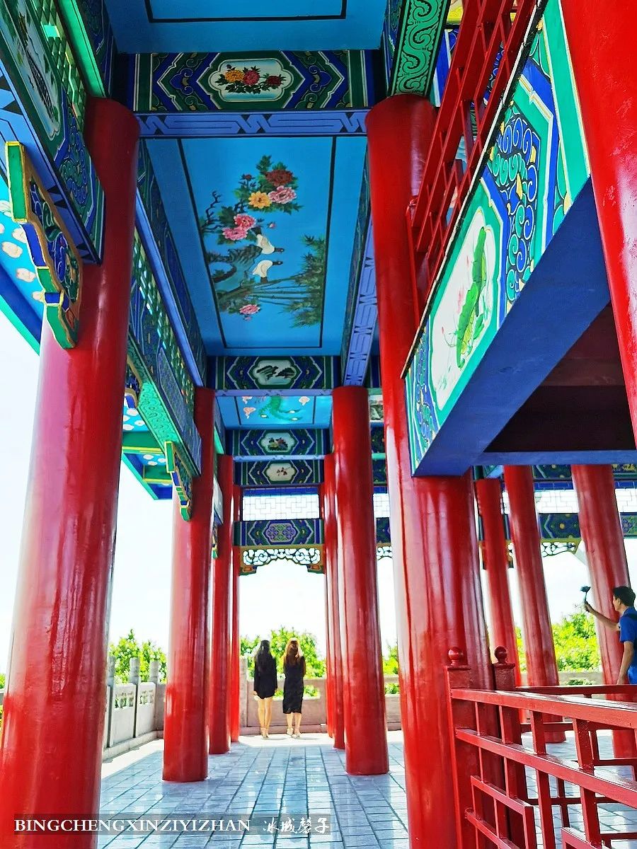 再返富锦，为着那份飘着稻花香的“湿”意约定