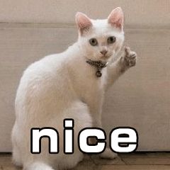 这才爆红一年就这么能“装”了？3w的包一背我都认不出来了…