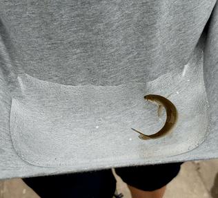 中国黑科技再获大突破,黑科技纳米喷雾