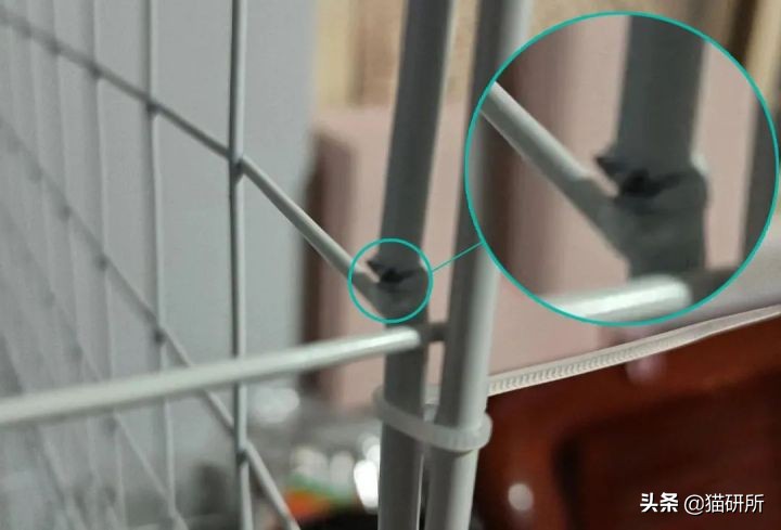 高层养猫到底要不要封窗,封窗养猫