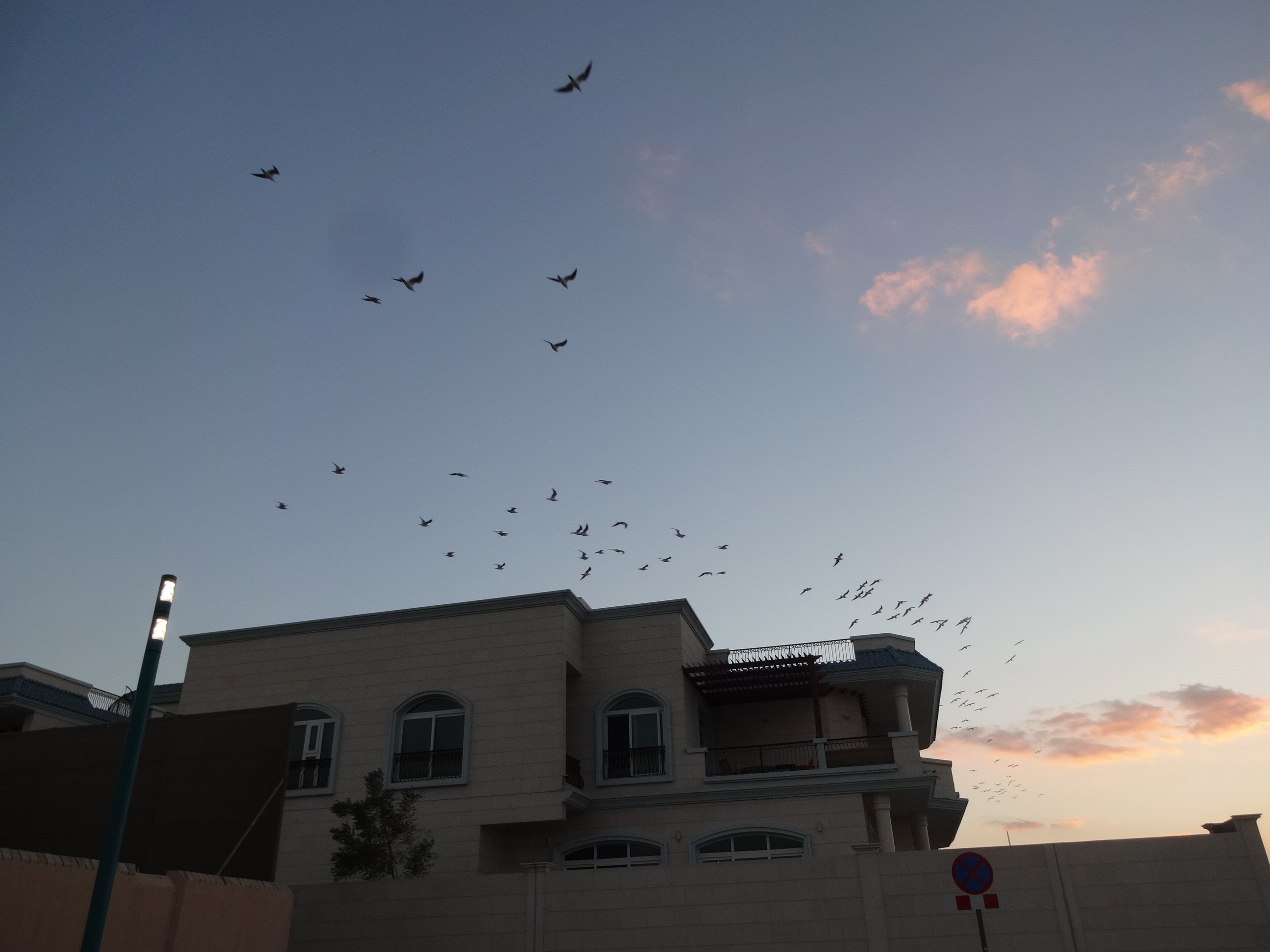 美女与幽灵融合,与幽灵少女的邂逅结局