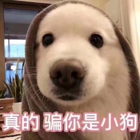 9岁的孩子蛀牙还没有换怎么办,9岁孩子蛀牙需要补牙吗