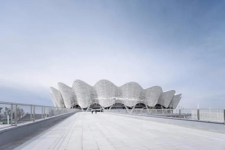 水立方中方设计团队名单,水立方团队