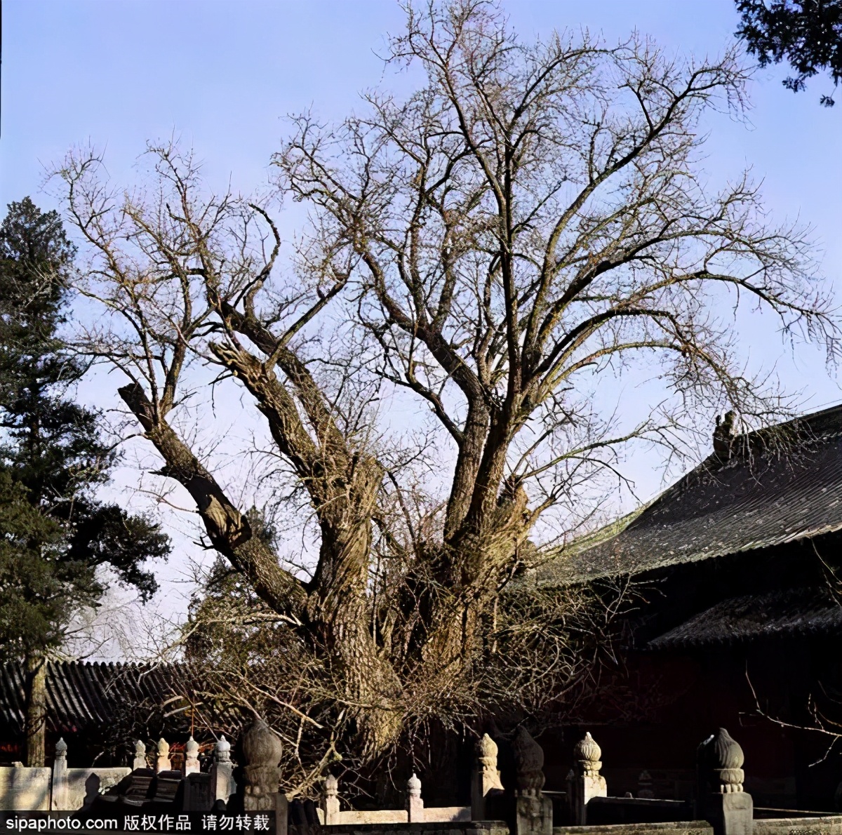 打卡北京十大古迹,打卡北京100个景点