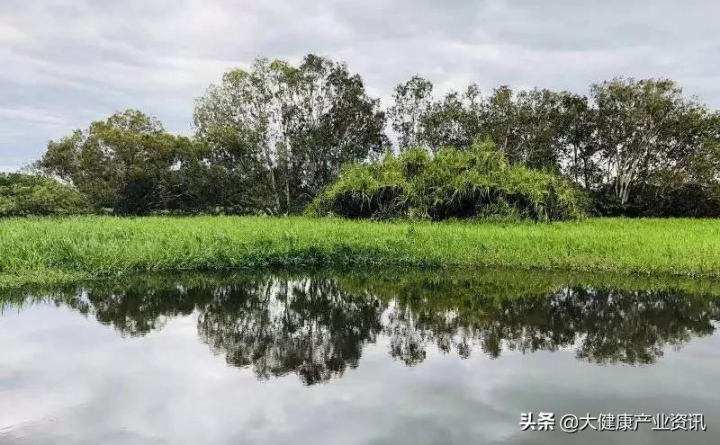 一个民营企业家的创新之路,一位民营企业老板的感悟