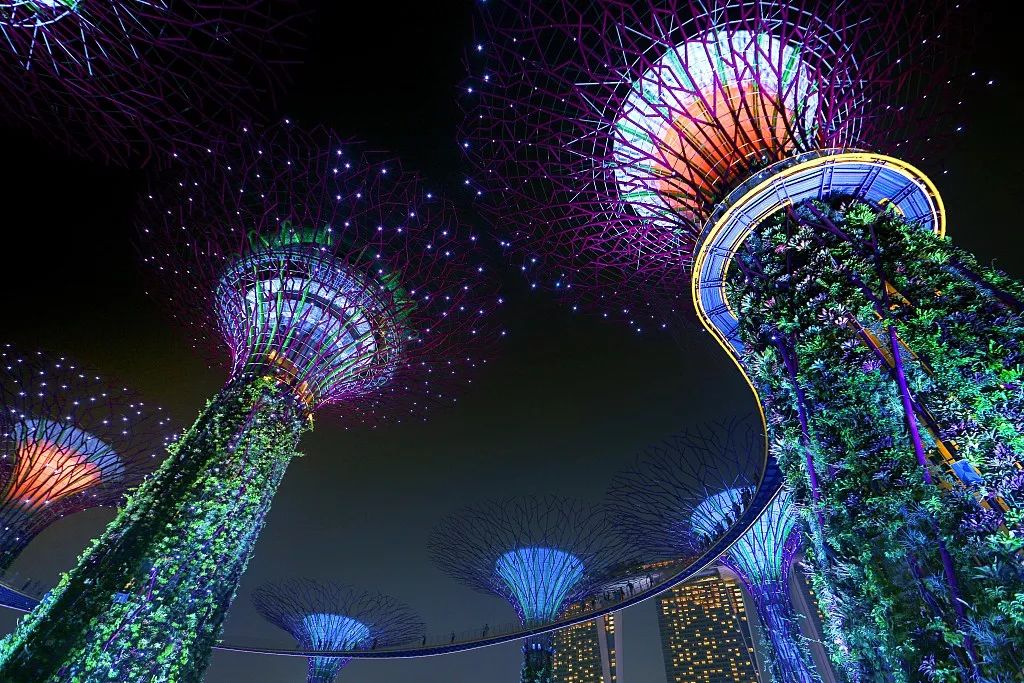 新加坡旅行攻略酒店,新加坡旅游最省钱的路线