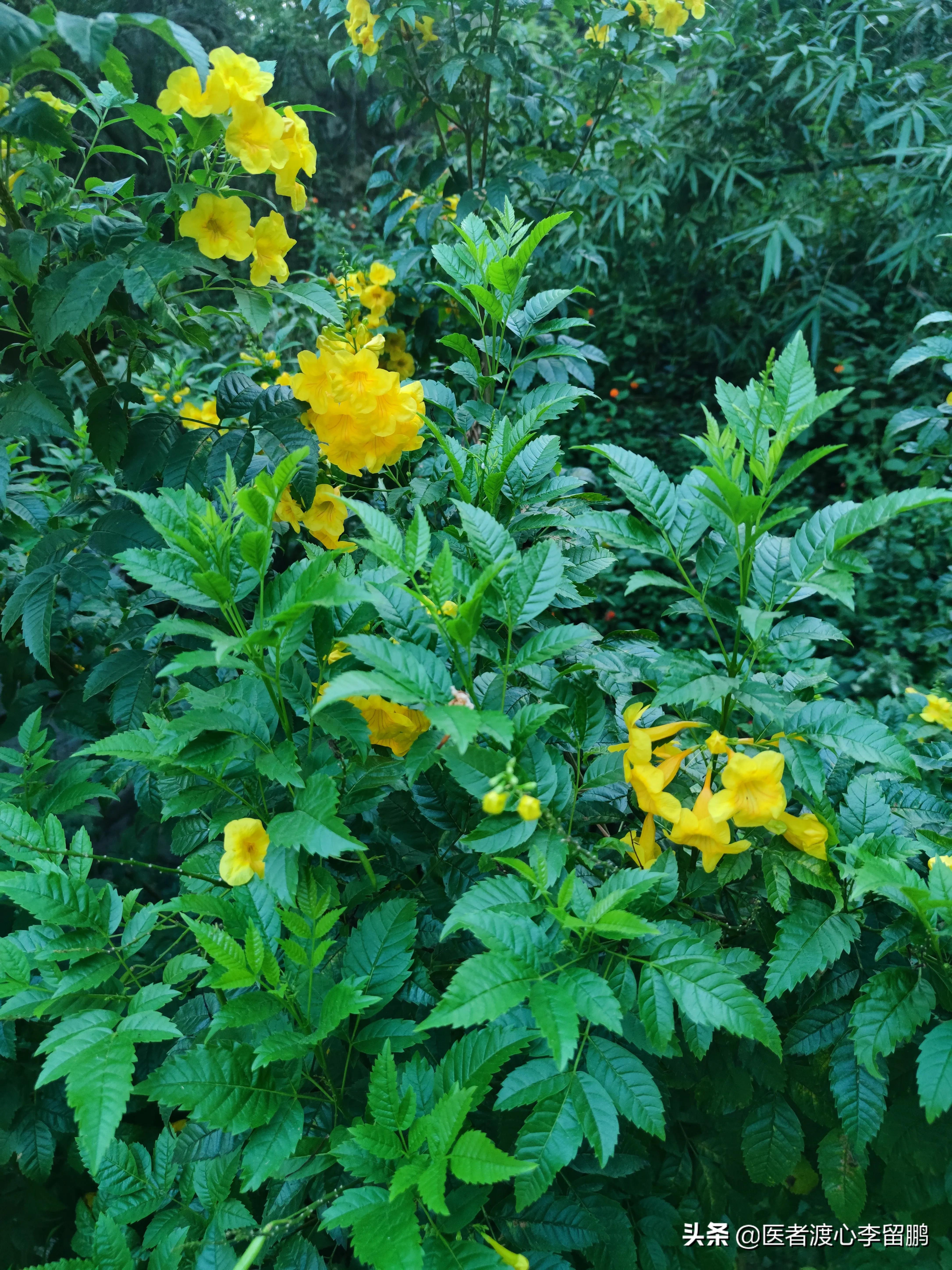 医学和心理学的关系,浅谈医学心理学论文参考文献