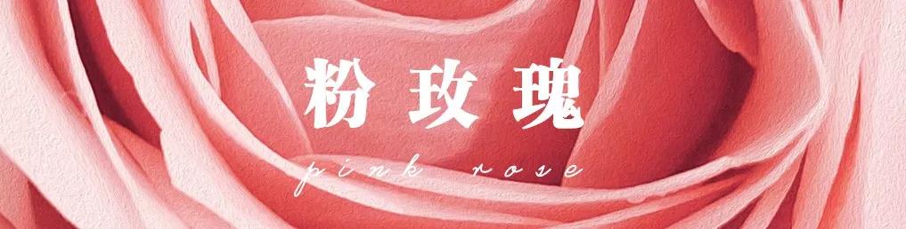 花店常用玫瑰花品种大全,一篇文章带你认识三亚40种花