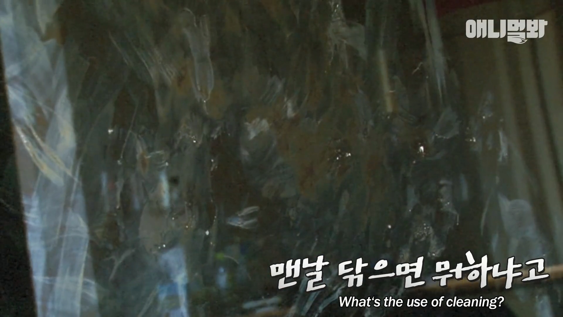 足球比赛现场一只狗狗误入球场,足球赛场上踢球的狗狗