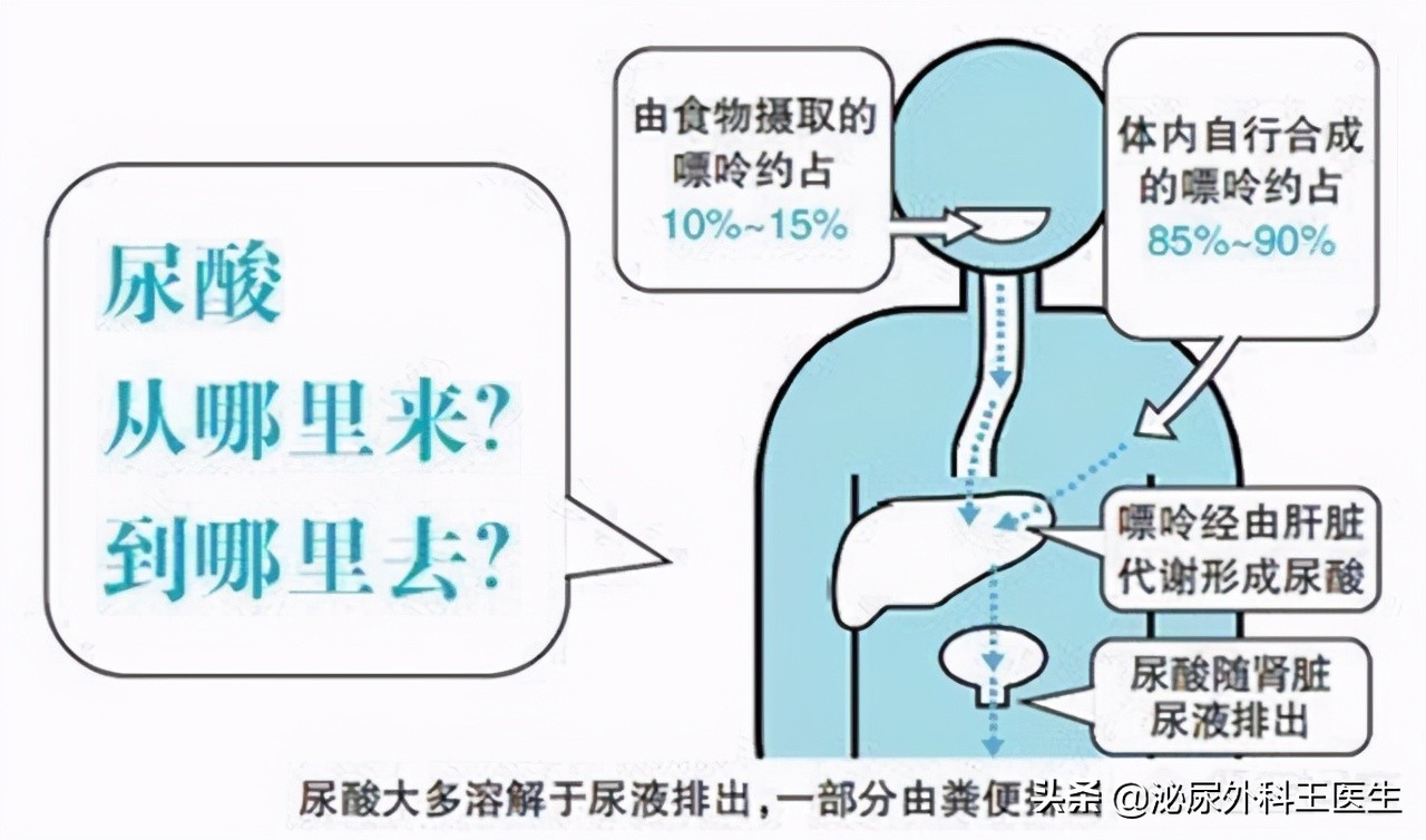 身体出现什么问题造成尿酸高,尿酸高要注意什么降尿酸