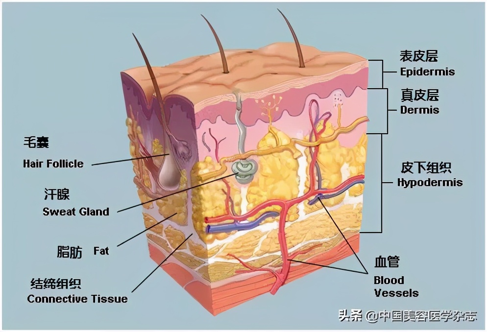 春季护肤指南少女肌的养成记,春季护肤培训