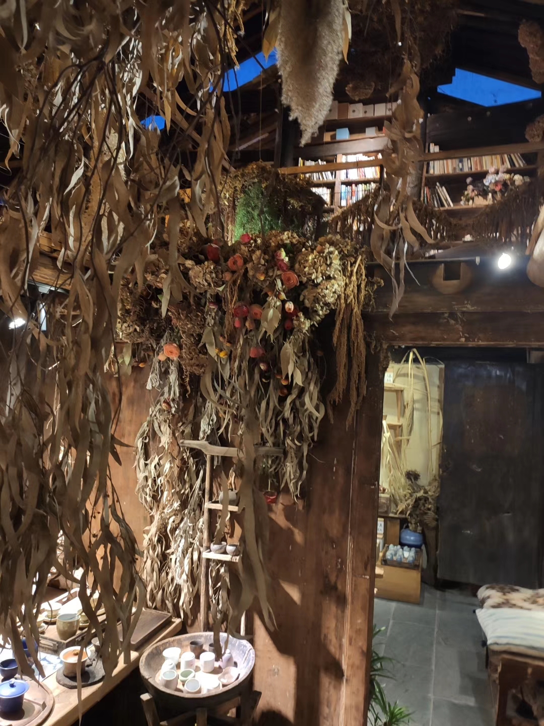 以自然之名怎么样,以自然之名是什么意思