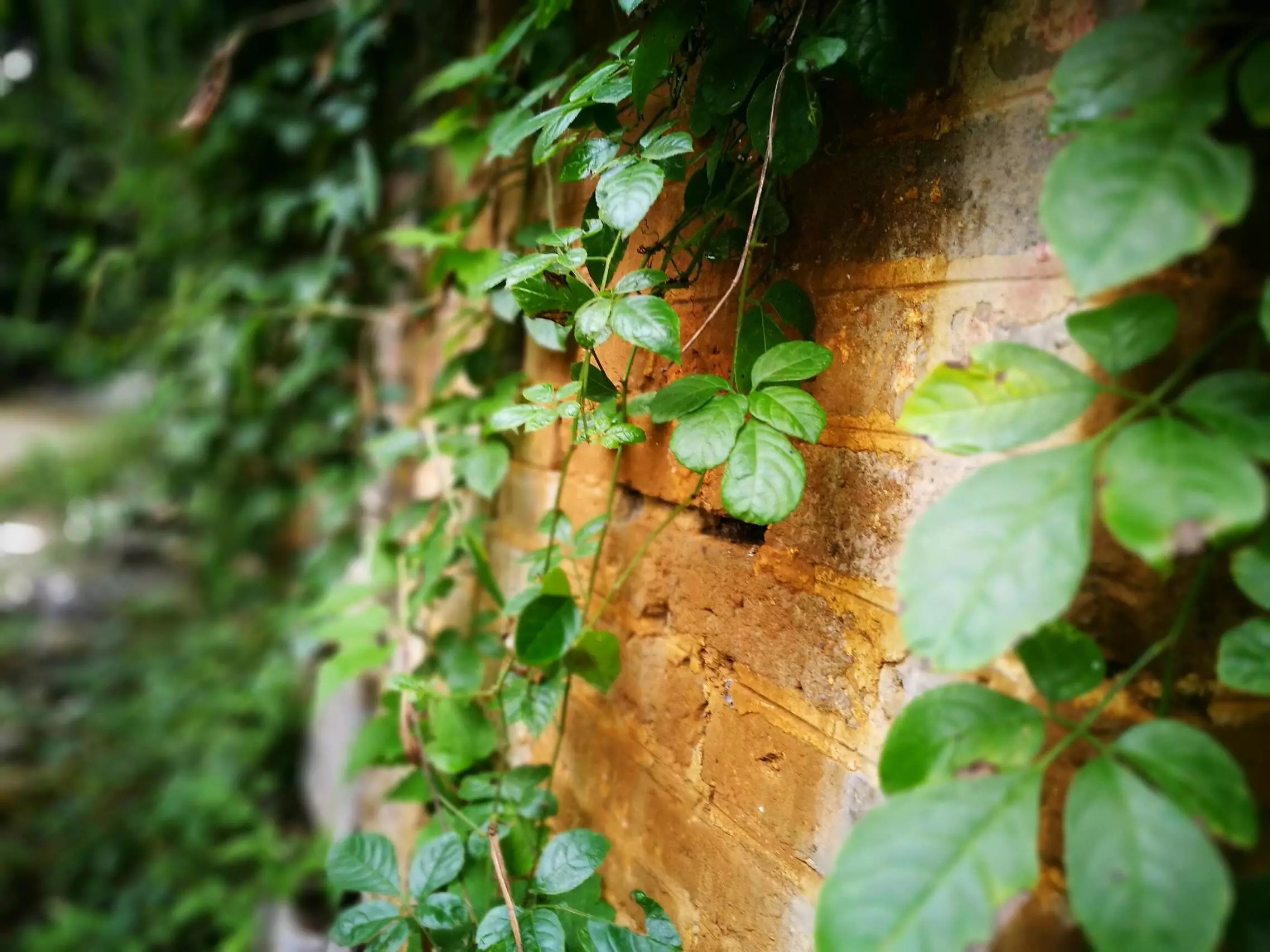 陌上的田园·王家湾村