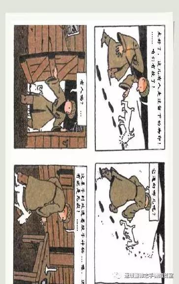 丁丁和丁丁历险记论文,丁丁历险记丁丁的服装