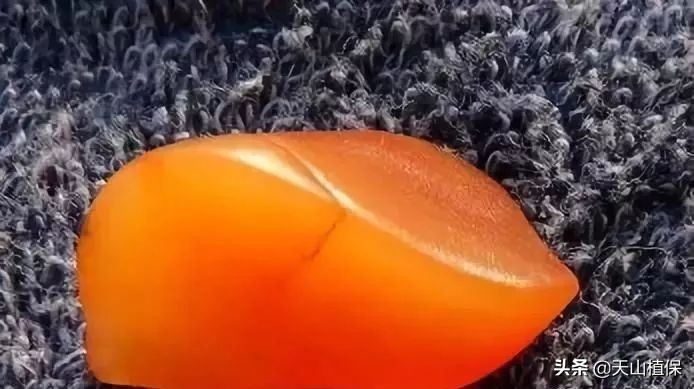 戈壁金丝玉又叫什么石,新疆戈壁金丝石奇石怎么样