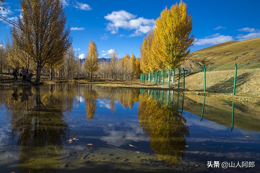 宸濊タ楂樺師澶ц崏鍘熺殑璺笂鐓х墖,闈掕棌楂樺師涓婄殑鑽夊師闆北椋庢櫙