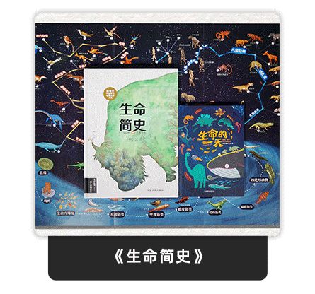 6月4日晚八点薇娅直播间图文详情预告