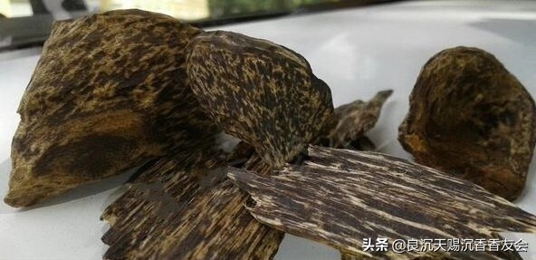 文莱天然野沉香知识,文莱沉香为什么不值钱