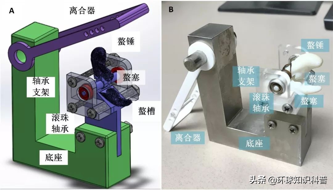 「科普」这种小虾能“袭击”军舰，我们成功缴获了它的*器武**
