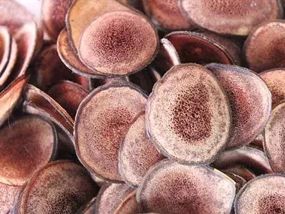 康芝仁中医馆资兴,康芝仁中医馆电话