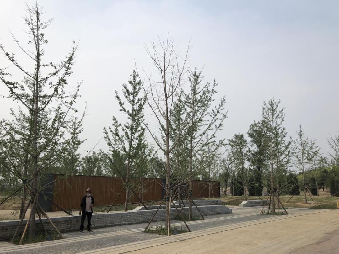 疫情过后园林企业生存现状如何？来看看这位项目经理的一天