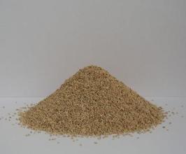 洗发水能不能去除猫身上跳蚤,猫猫身上的跳蚤怎么去除