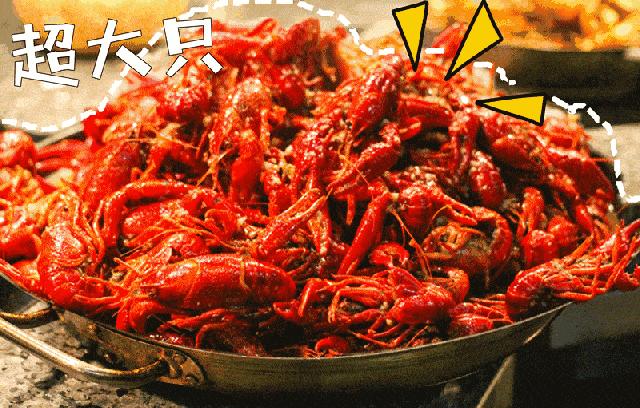 扒一扒大众甲壳虫的一串黑历史,扒小龙虾的视频