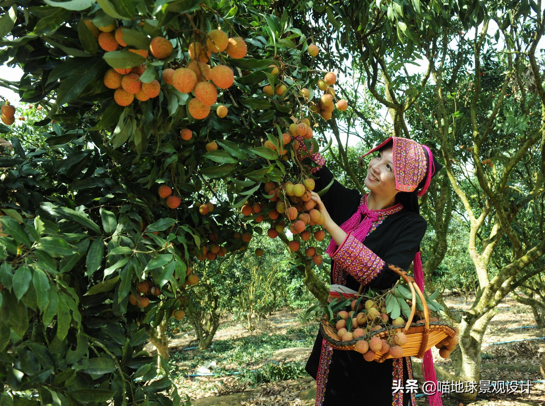 美丽乡村的盈利项目,美丽乡村项目的成功案例
