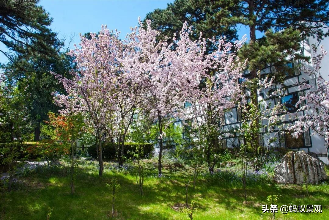 香山饭店四绝十八景是什么,香山饭店的游记