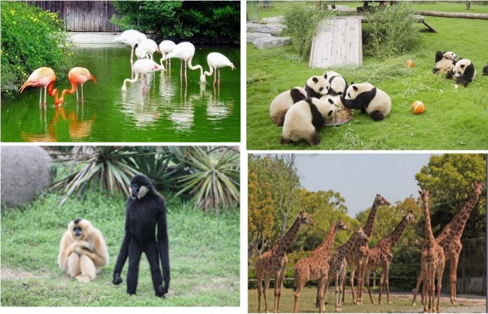 上海亲子骑行路线推荐,上海寒假亲子游玩攻略