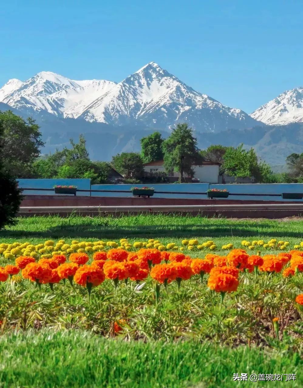 *疆新**往西，这片神奇的处女地，去一次相当环游大半个世界！