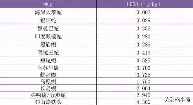 蛇中熊猫莽山烙铁头图片,蛇中熊猫莽山烙铁头有多珍稀