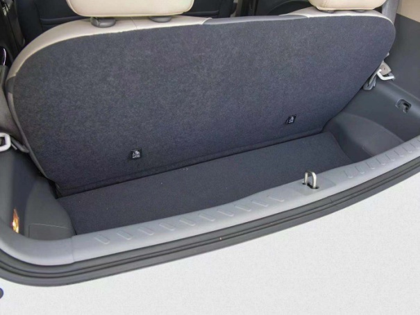 薛定谔的猫实测,欧拉白猫小野猫试驾