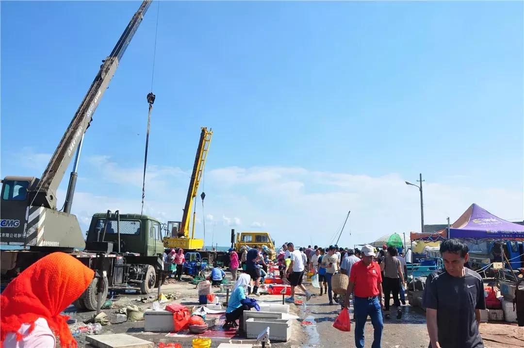 青岛开海了新鲜肥美的海鲜已上市,青岛开海红岛海鲜八大关