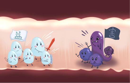 益生菌功效海报,益生菌的卖点是什么