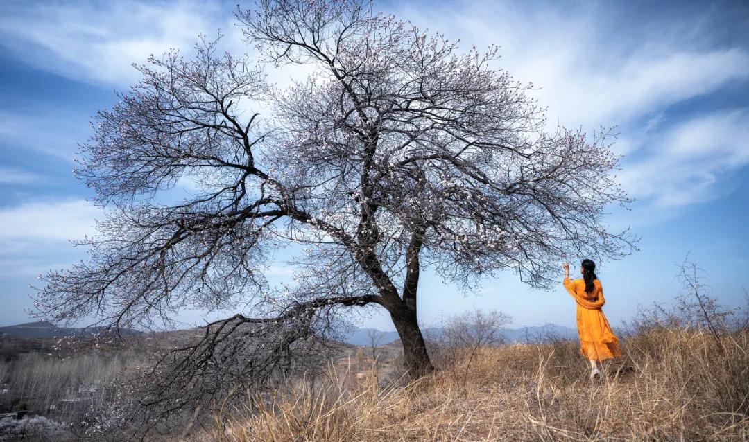 停止内耗的九个小方法值得一试,缓解内耗的6个小方法