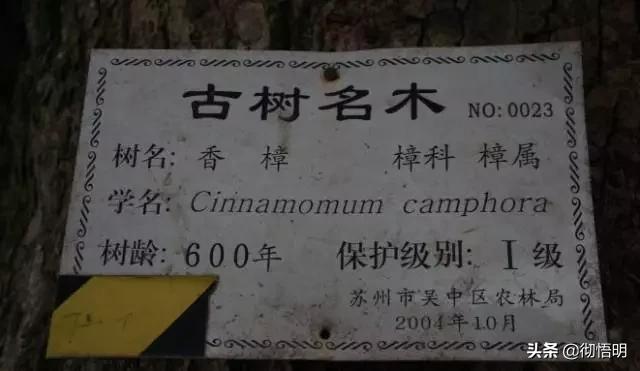 江苏旅游西山岛攻略图文,内湖洞庭西山岛