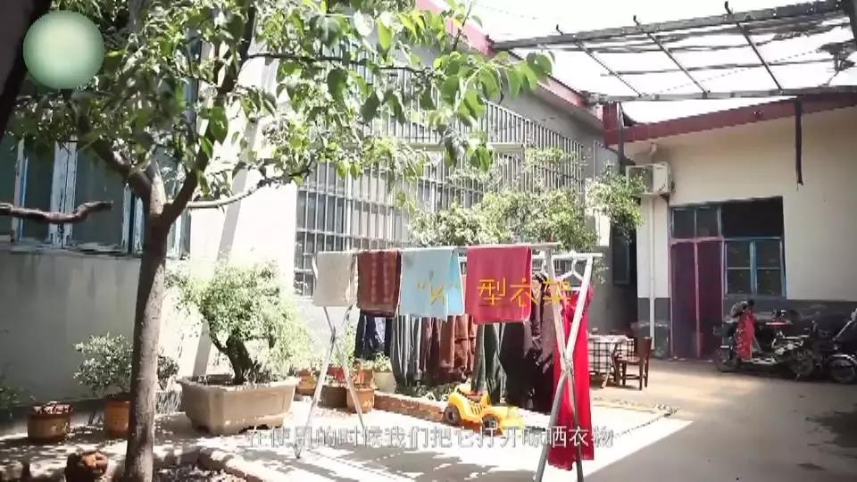 《齐鲁女性》电视周刊第11期！巾帼风采，“破难”妙招……精彩速看！