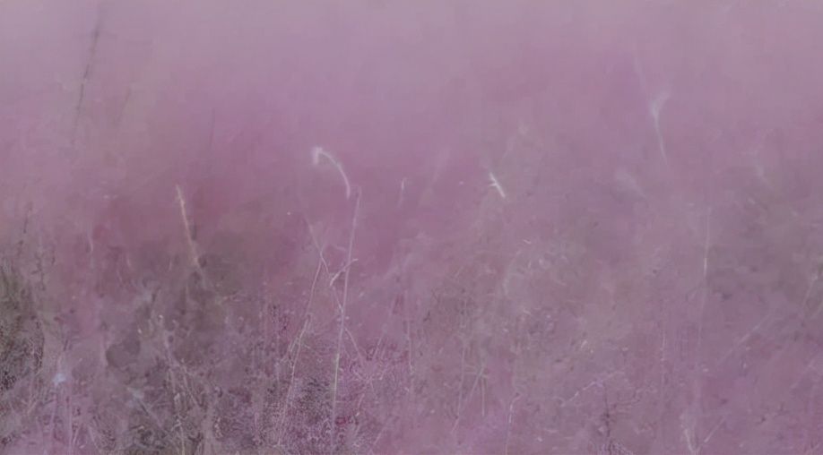 金的功用,金的功能主治