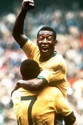 男子发现恐龙蛋化石,11枚恐龙蛋被9岁小孩发现