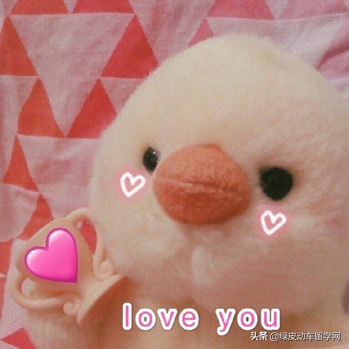 在日本读大学是一种怎样的体验？