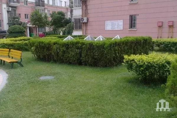 郑州二七区大学路小学怎么样,郑州二七区榕江路小学怎么样