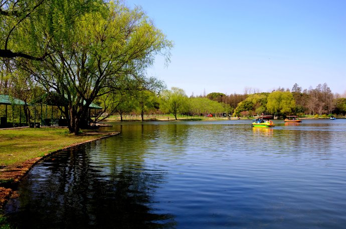 上海有哪些公园是免费的门票,上海哪个公园不收门票景色也不错