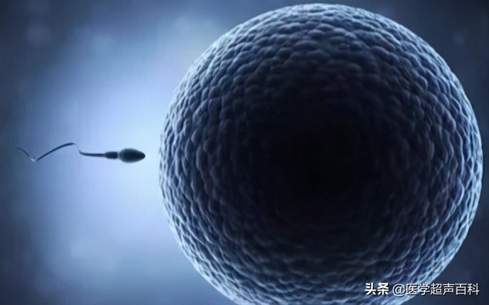 女性备孕需要注意什么事项,备孕前提前多久去做优生优育检查