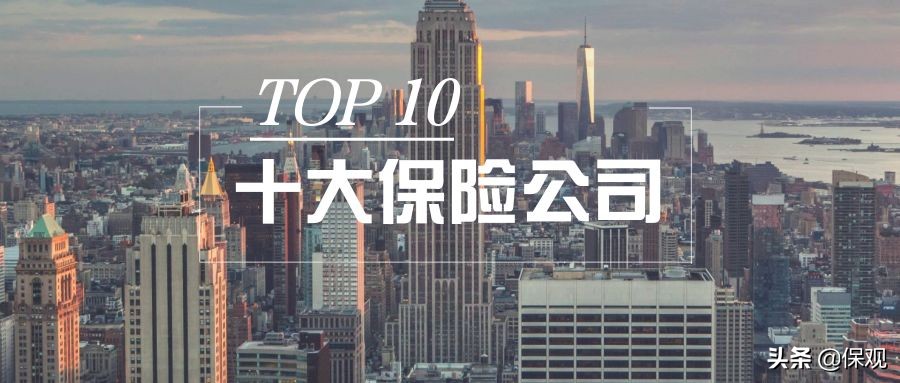 全球最大的保险公司是哪一家,全球九家大到不能倒的保险公司