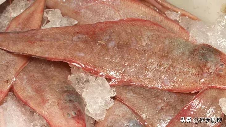 海鲜大荟萃,常见贝壳类海鲜