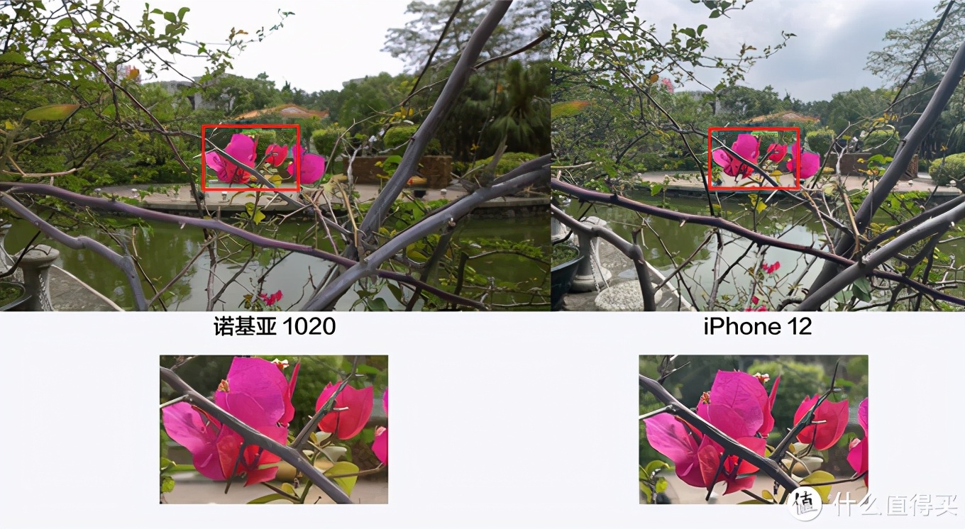 诺基亚9pureview对比1020拍视频如何,诺基亚1020拍照对比苹果xr